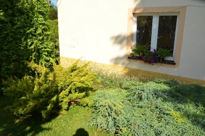 I miejsce w Konkursie